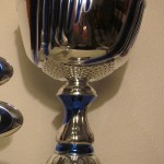 Pokal VM